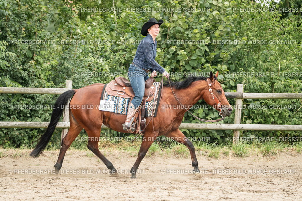 DSC04447 | Pferdegrafie