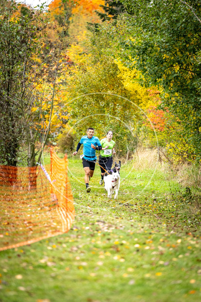 Pfotenfotografie_DV3A2038 | Hundefotografie, Tierfotograf, Pfotenfotografie, Fotoshooting Hund, Hunde Portrait, Hundesport, Hundeportraits, Heideshooting, Hunde, Sportfotograf, Hundefotograf, Turnierhundsport, THS,  - Realisiert mit Pictrs.com