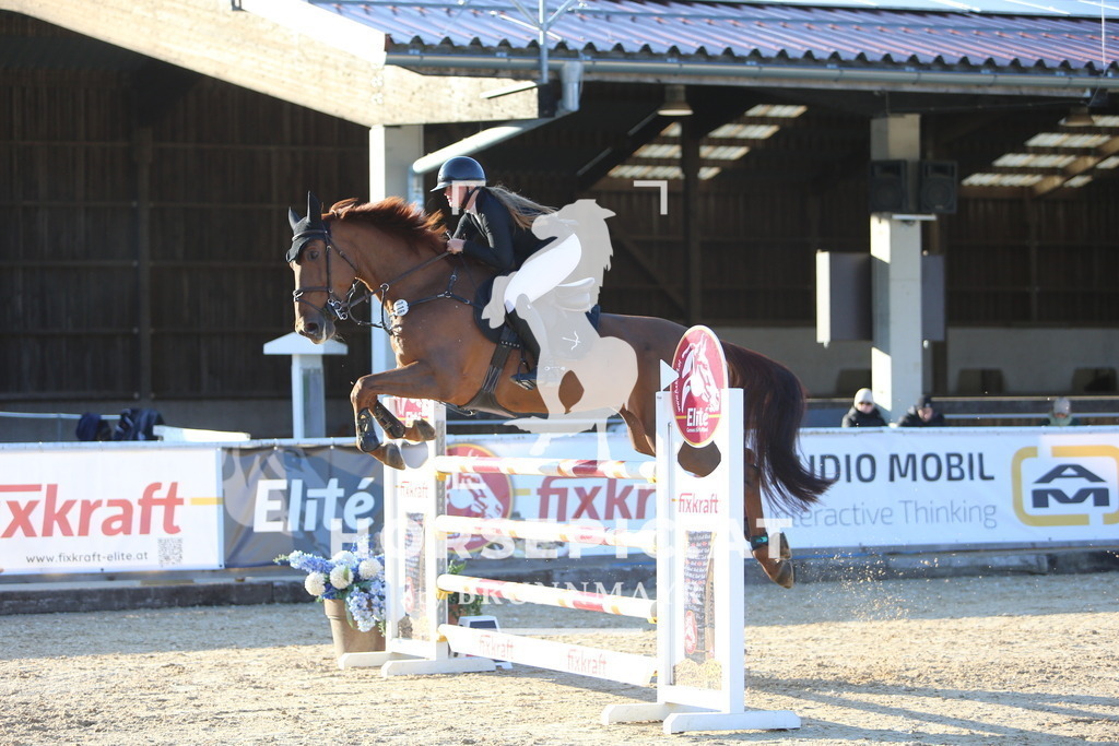 DL2Q1485 | Willkommen bei Brunnmayr - Design & Fotografie – Ihrem Spezialisten für Reitturniere und Pferdeveranstaltungen in Oberösterreich, Salzburg und Bayern! Seit über 17 Jahren sind wir leidenschaftlich dabei.