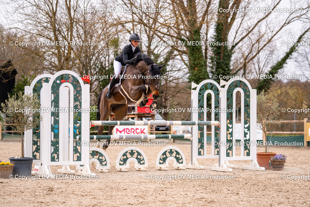 Kranichstein Tag 2-222 | dv-media-shop - Realisiert mit Pictrs.com