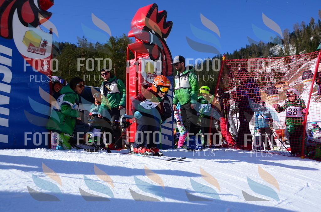 C4711 | holidayphoto