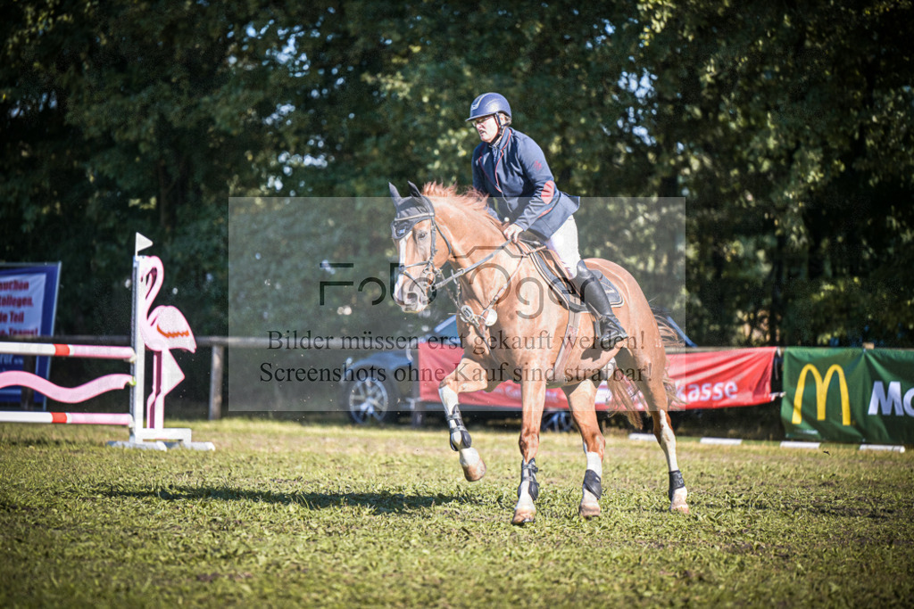 DOS_1559 | Entdecke hochwertige Reitturnierfotos von Foto Oger. Professionell, emotional und authentisch – jetzt Lieblingsmomente im Shop bestellen.Deutschlandweite Turnierfotografie. - Realisiert mit Pictrs.com