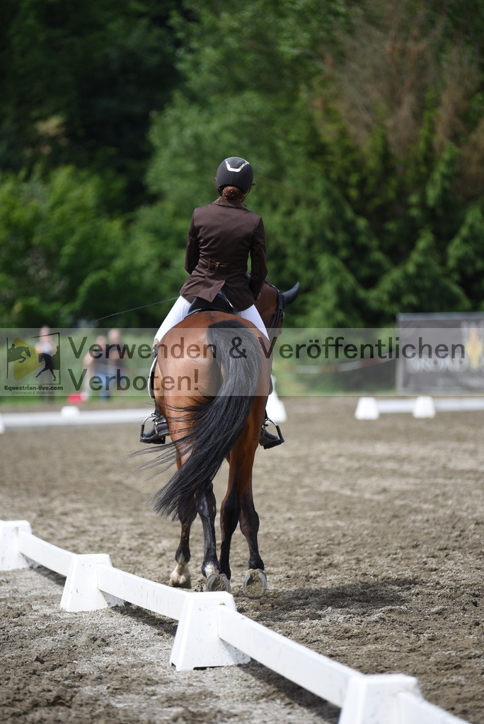 DSC_0879 | equestrian-live-com