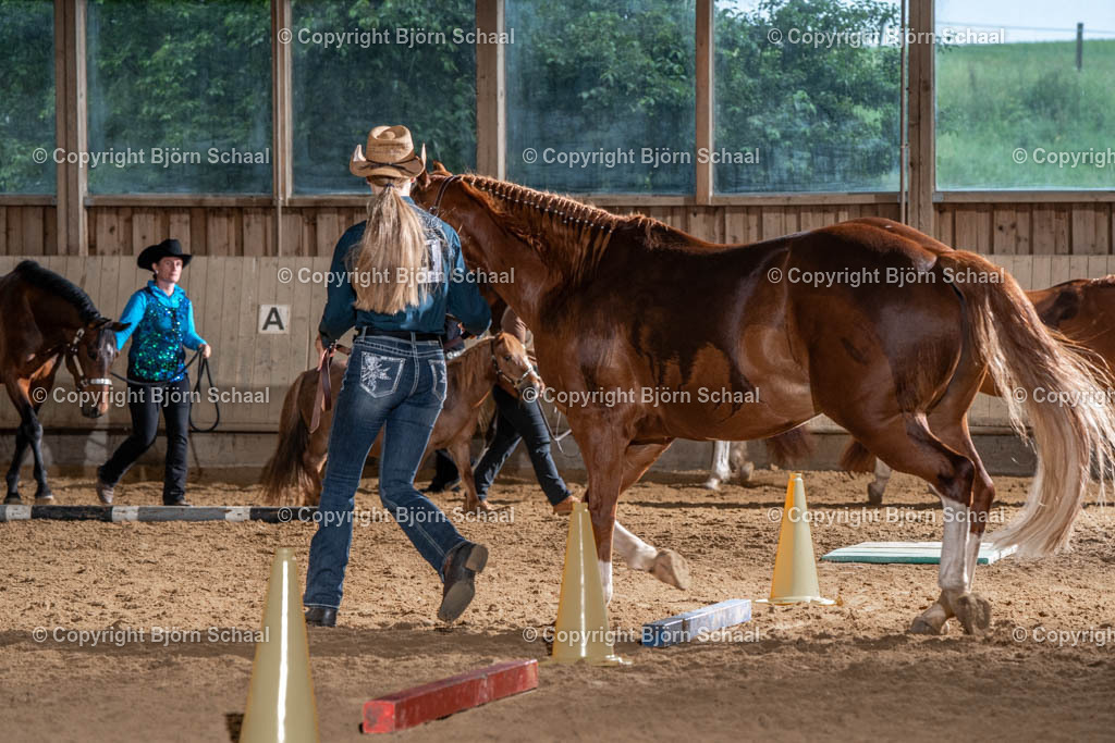 SBS03804 | BS-foto