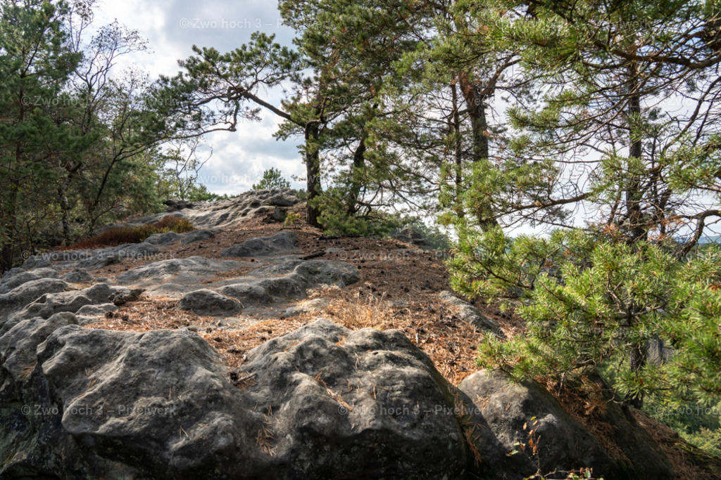 Grosser_Teichstein_Felsplateau_Nadellaub_Zapfen_Kiefer | 2022-08-30_Waldbrandgebiete_1 - Realisiert mit Pictrs.com