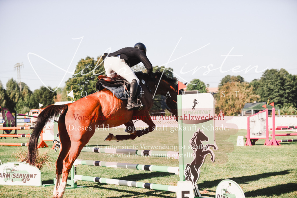 DSC_2197 | Pferde- und Turnierfotografie in Westsachsen. Pferdeportraits, Auftragszeichnungen und intuitive Kunst.