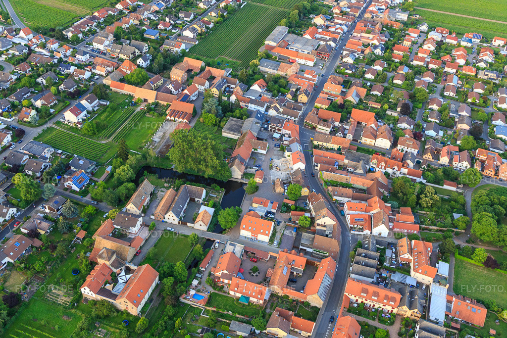 Luftbild: Burgstr in Friedelsheim im Bundesland Rheinland-Pfalz in Deutschland. Foto: IMG_107735.jpg vom 03.06.2018 durch Werner Riehm/FLY-FOTO.de
