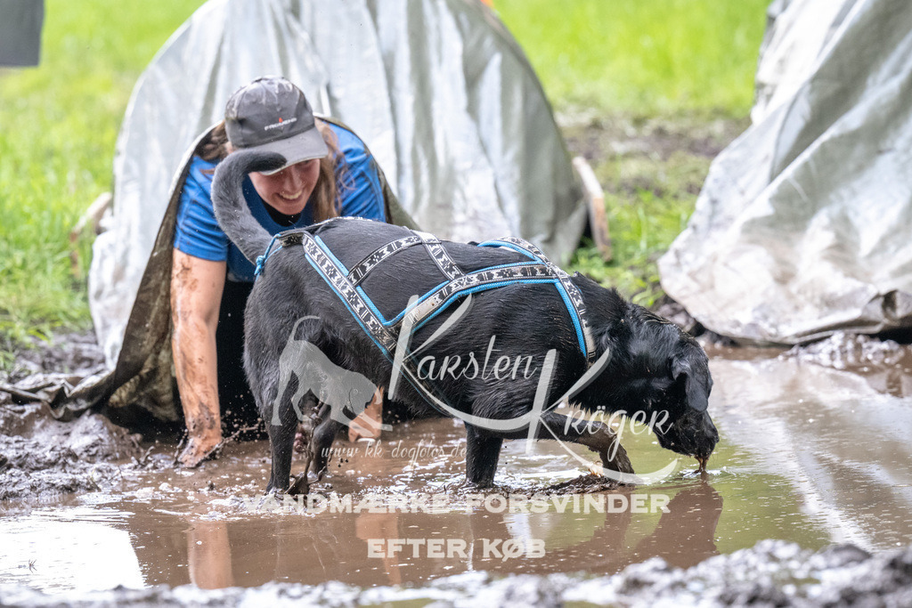 1225_ZZ92123 | kk-dogfotos