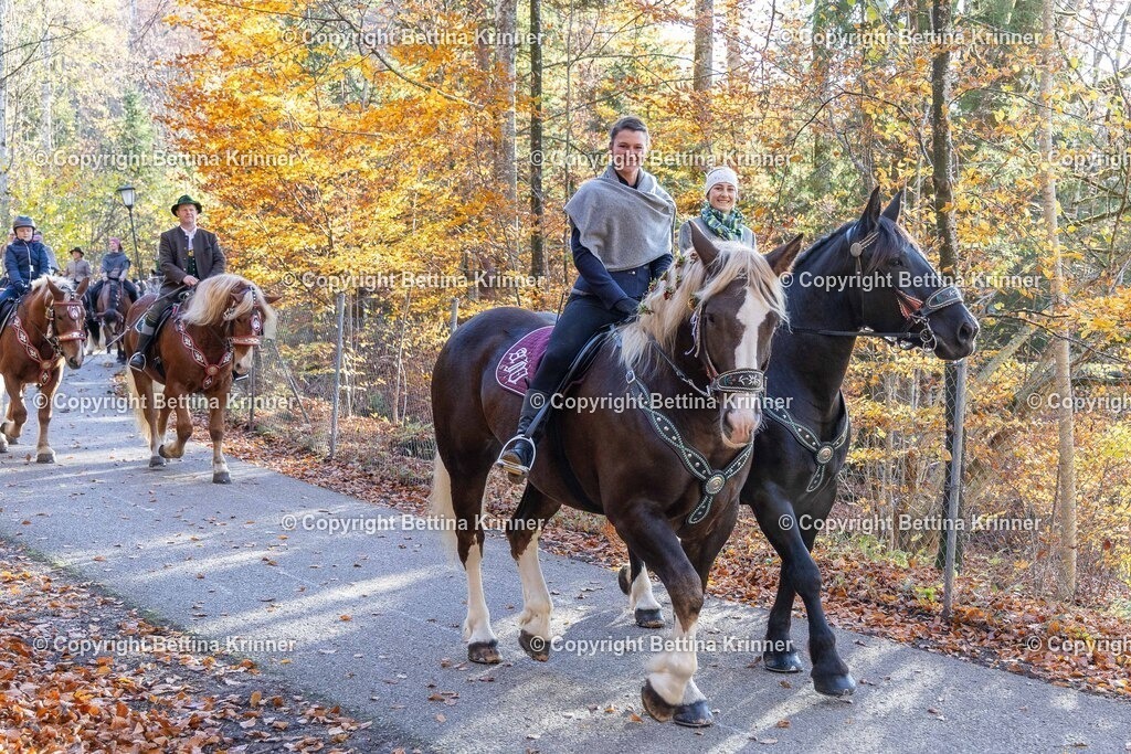 LL24-343 | foto-bettina-krinner - Realisiert mit Pictrs.com