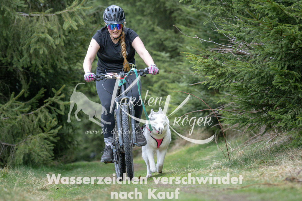 1317_ZZ94086 | kk-dogfotos