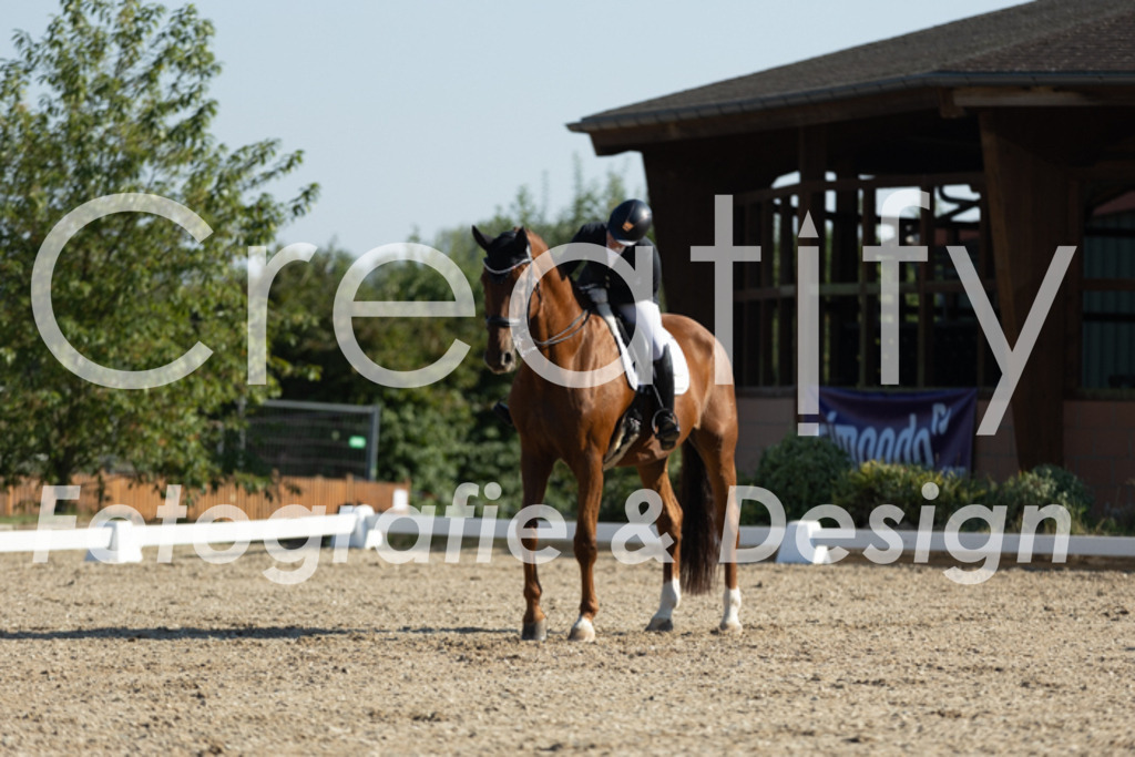 IMG_0645 | Creatify Fotografie