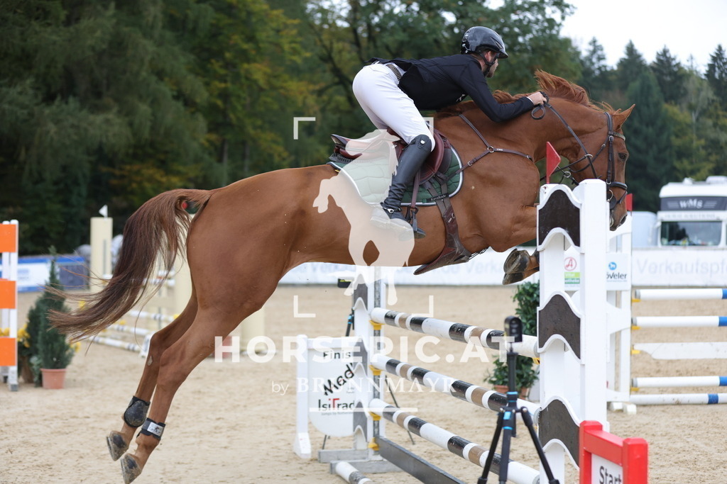 0P6A3147 | Willkommen bei Brunnmayr - Design & Fotografie – Ihrem Spezialisten für Reitturniere und Pferdeveranstaltungen in Oberösterreich, Salzburg und Bayern! Seit über 17 Jahren sind wir leidenschaftlich dabei.