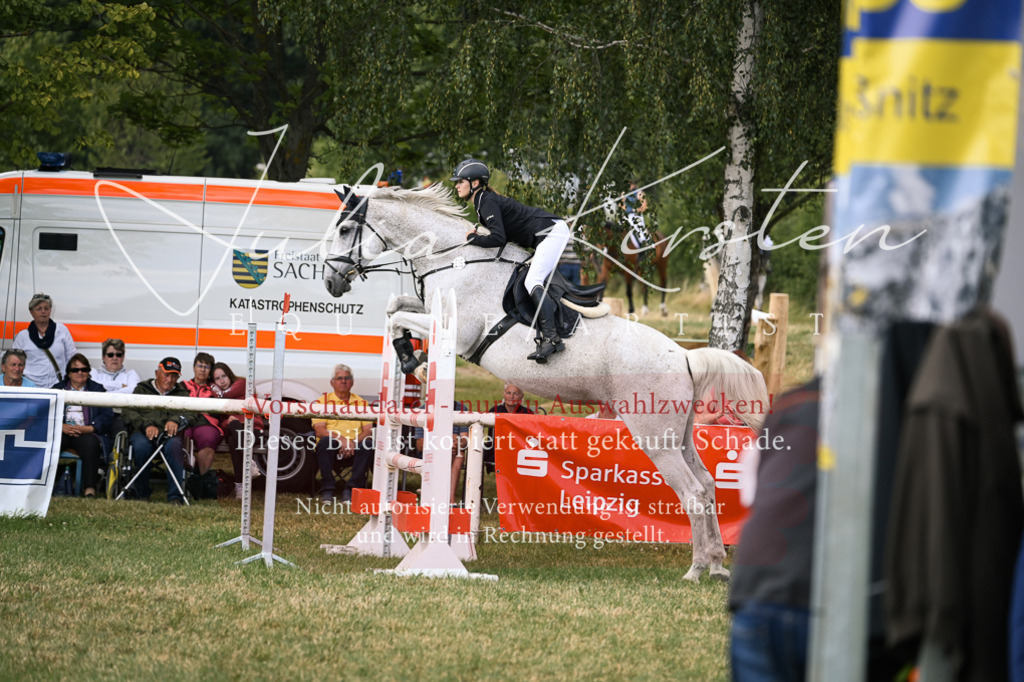 DSC_0964 | Pferde- und Turnierfotografie in Westsachsen. Pferdeportraits, Auftragszeichnungen und intuitive Kunst.