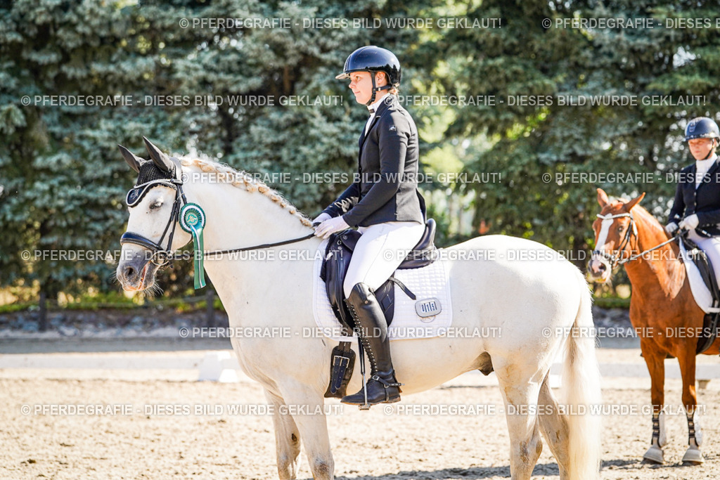 DSC00142 | Pferdegrafie