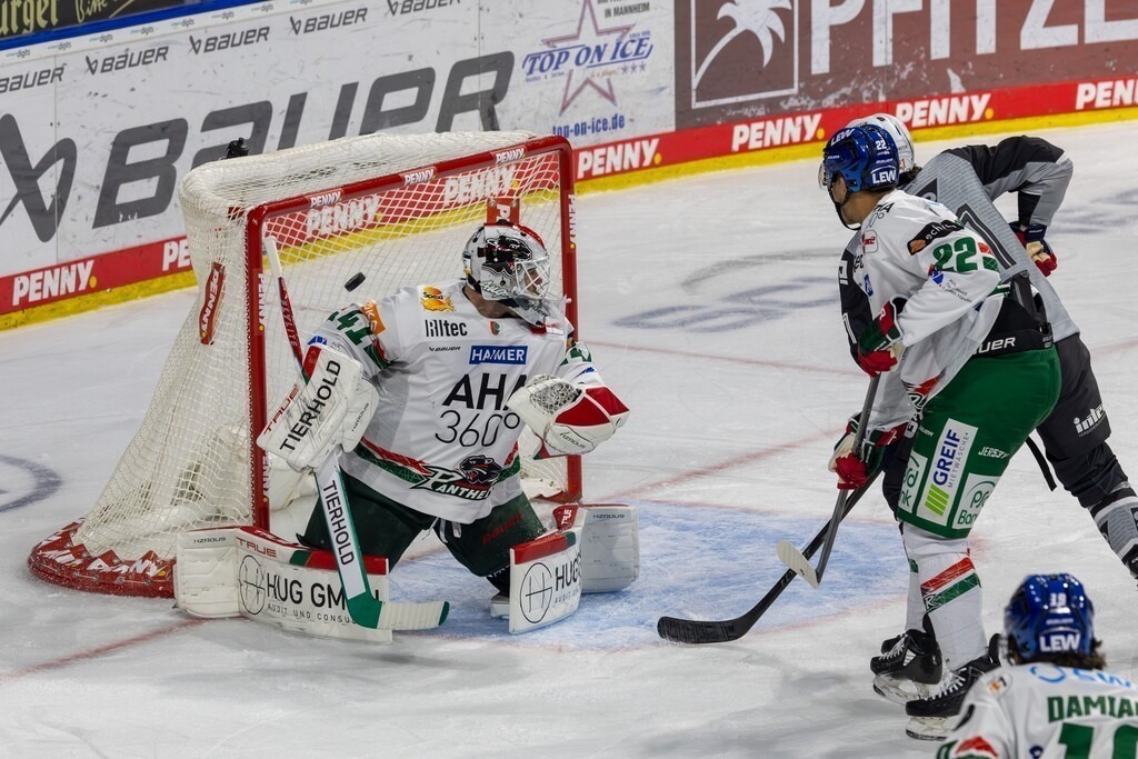 DEL, Deutsche Eishockey Liga Saison 2025/26, 26. Spieltag: Adler Mannheim gegen Augsburger Panther | DEL, Deutsche Eishockey Liga Saison 2025/26, 26. Spieltag: Adler Mannheim gegen Augsburger Panther - Realisiert mit Pictrs.com