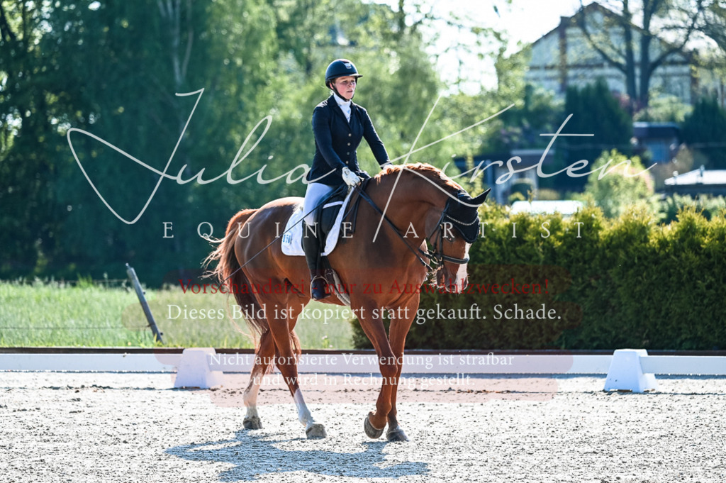20230513_JK-Röhrsdorf-10-0015 | Pferde- und Turnierfotografie in Westsachsen. Pferdeportraits, Auftragszeichnungen und intuitive Kunst.