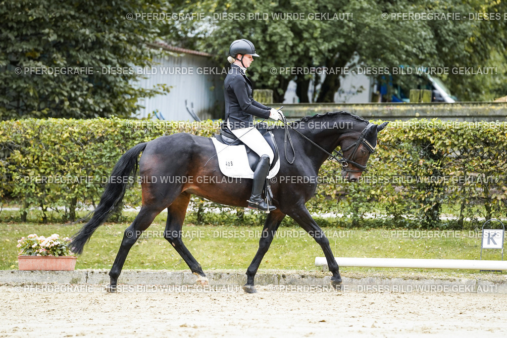 DSC07121 | Pferdegrafie
