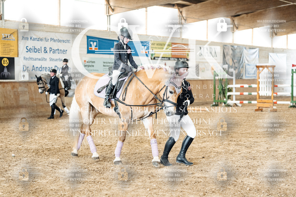 CK906107 | Turnierfotografie Pferdefotografie Trier Rheinland-Pfalz Pferdesport Reitsport Tierfotografie Sportfotografie Pferdevideo Pferdevideografie Equestrianvideography equestrianphotography  - Realisiert mit Pictrs.com
