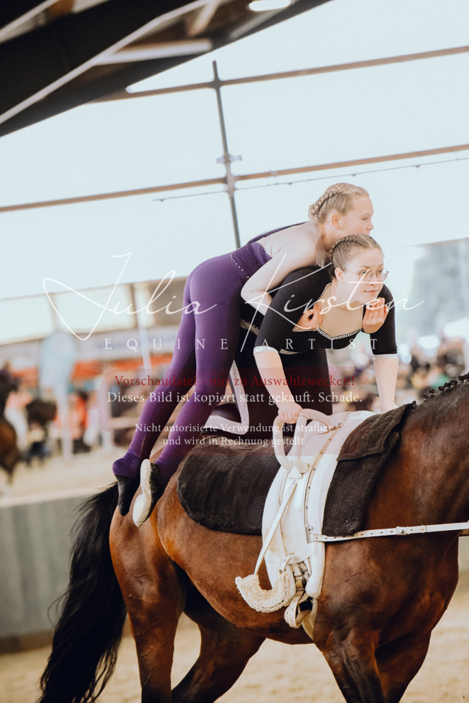 DSC_6899 | Pferde- und Turnierfotografie in Westsachsen. Pferdeportraits, Auftragszeichnungen und intuitive Kunst.