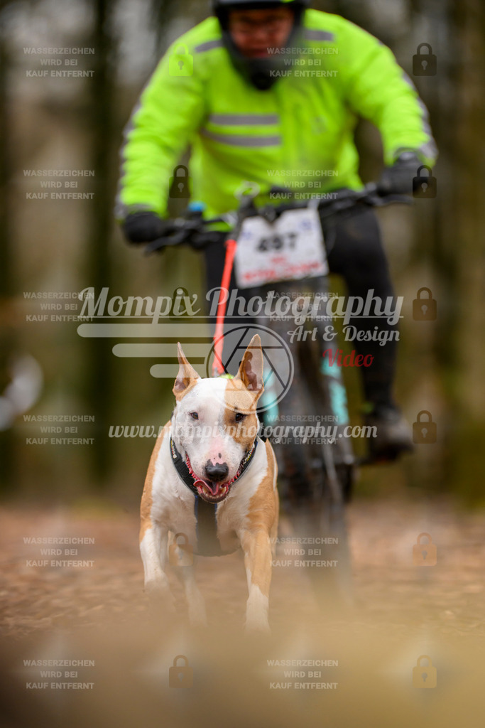 MompixPhotography_Habay2024_SA_Bike-98 | PayLife