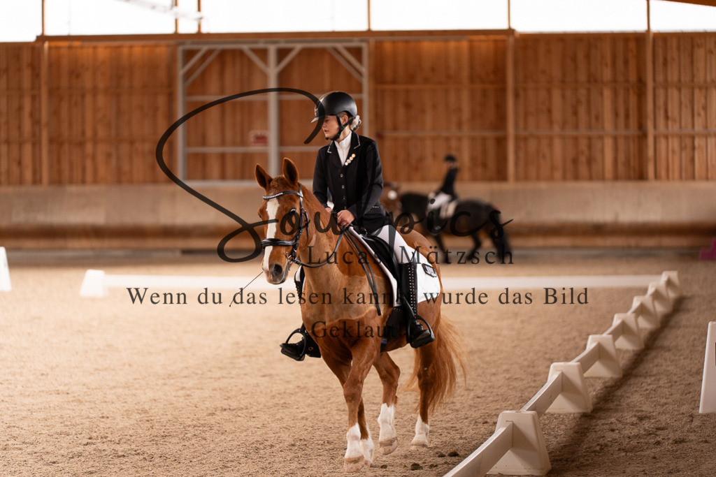 A7506947 | Turnier/Reitfotograf