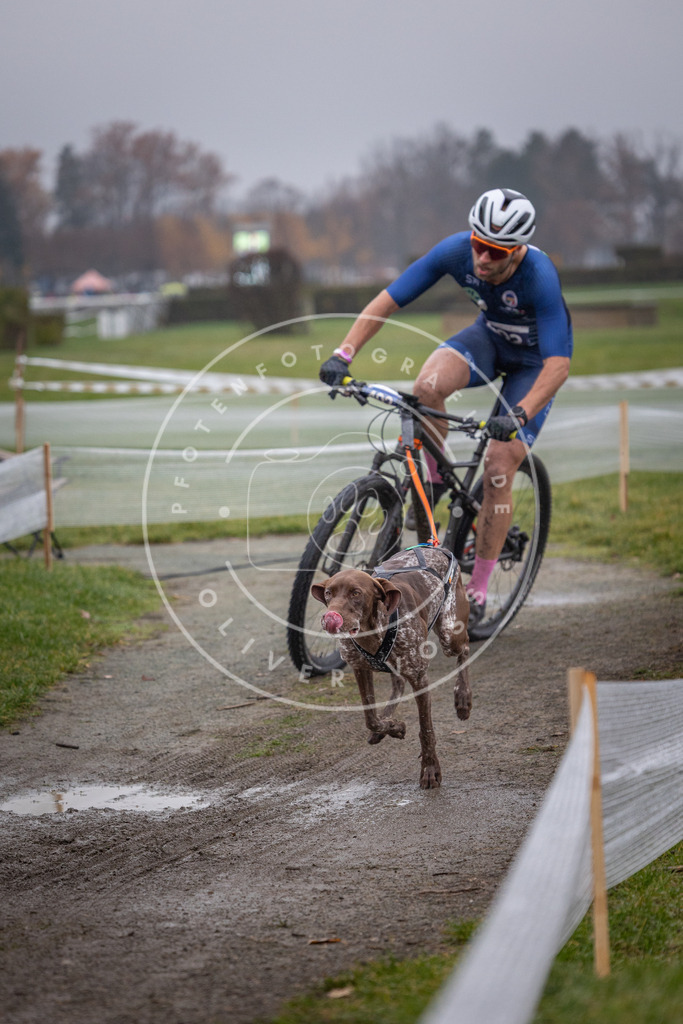 CaniXpix_0L8A0926 | Hundefotografie, Tierfotograf, Pfotenfotografie, Fotoshooting Hund, Hunde Portrait, Hundesport, Hundeportraits, Heideshooting, Hunde, Sportfotograf, Hundefotograf, Turnierhundsport, THS,  - Realisiert mit Pictrs.com