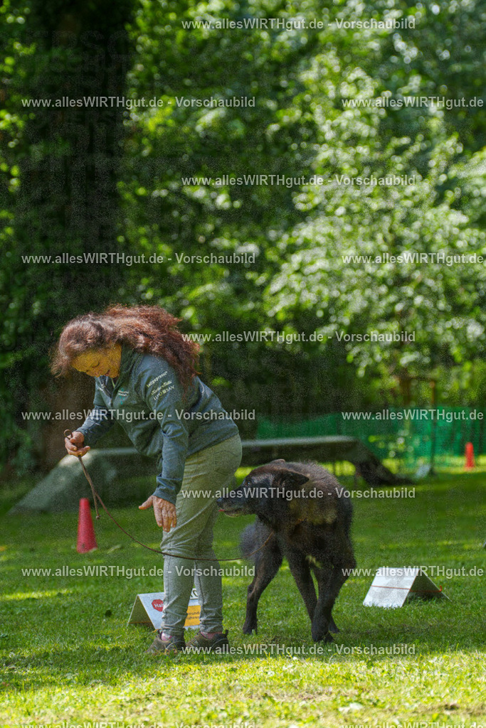 @allesWIRTHgut_Tierfotografie - www.allesWIRTHgut.de - 7R504692 | Professionelle Tierfotografie in Mönchengladbach von Daniel Wirth (allesWIRTHgut). Liebevolle & natürliche Bilder von Hunden & Katzen für unvergessliche Erinnerungen.