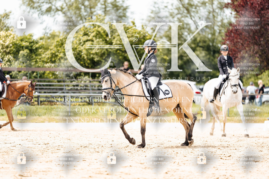 CK902459 | Turnierfotografie Pferdefotografie Trier Rheinland-Pfalz Pferdesport Reitsport Tierfotografie Sportfotografie Pferdevideo Pferdevideografie Equestrianvideography equestrianphotography  - Realisiert mit Pictrs.com