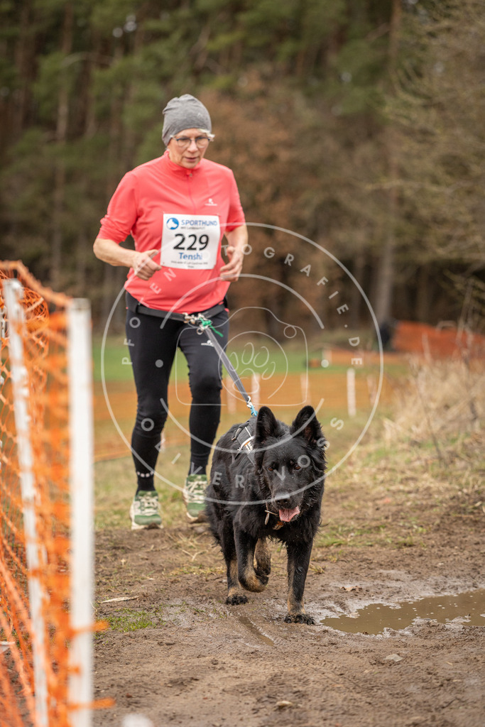 DV3A3062 | Hundefotografie, Tierfotograf, Pfotenfotografie, Fotoshooting Hund, Hunde Portrait, Hundesport, Hundeportraits, Heideshooting, Hunde, Sportfotograf, Hundefotograf, Turnierhundsport, THS,  - Realisiert mit Pictrs.com