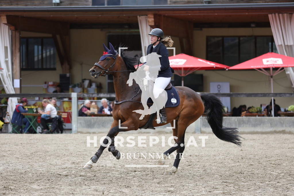 0P6A2716 | Willkommen bei Brunnmayr - Design & Fotografie – Ihrem Spezialisten für Reitturniere und Pferdeveranstaltungen in Oberösterreich, Salzburg und Bayern! Seit über 17 Jahren sind wir leidenschaftlich dabei.