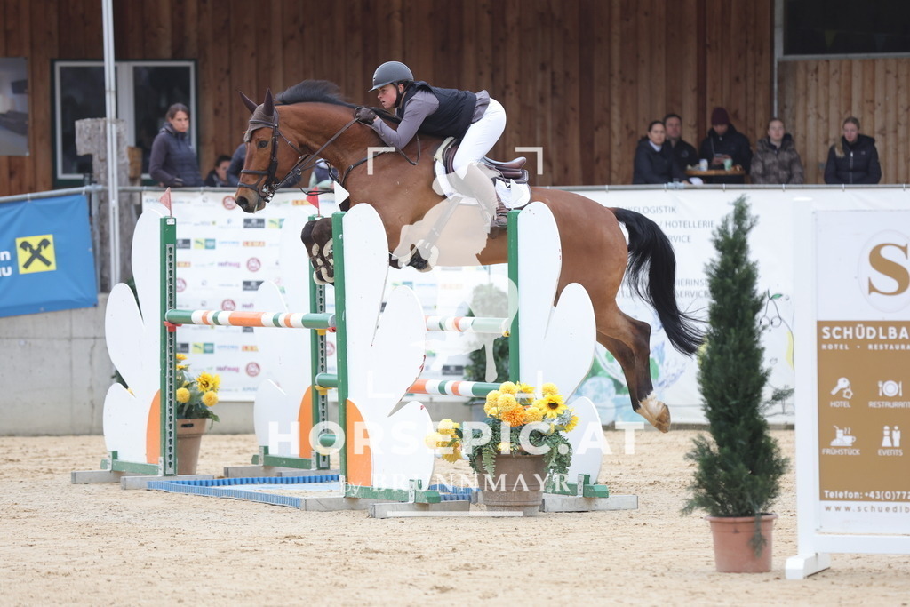 0P6A3238 | Willkommen bei Brunnmayr - Design & Fotografie – Ihrem Spezialisten für Reitturniere und Pferdeveranstaltungen in Oberösterreich, Salzburg und Bayern! Seit über 17 Jahren sind wir leidenschaftlich dabei.