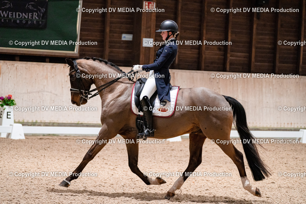 Dressur Tag 2-675 | dv-media-shop - Realisiert mit Pictrs.com