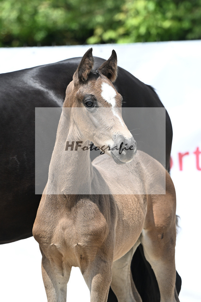 Seattle x Finest_HF_Geiger_12250726 | hf-fotografie - Realisiert mit Pictrs.com