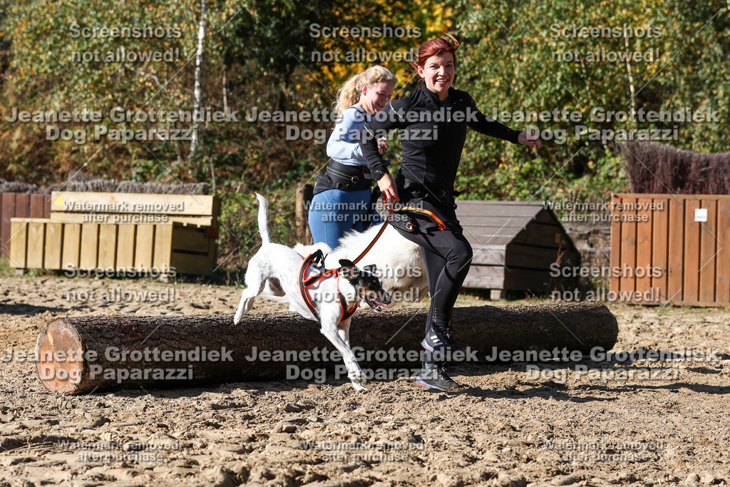 Dog Paparazzi - Strongdog 10-25-2961 | Dog Paparazzi Jeanette Grottendiek Fotografie & Videografie - Realisiert mit Pictrs.com