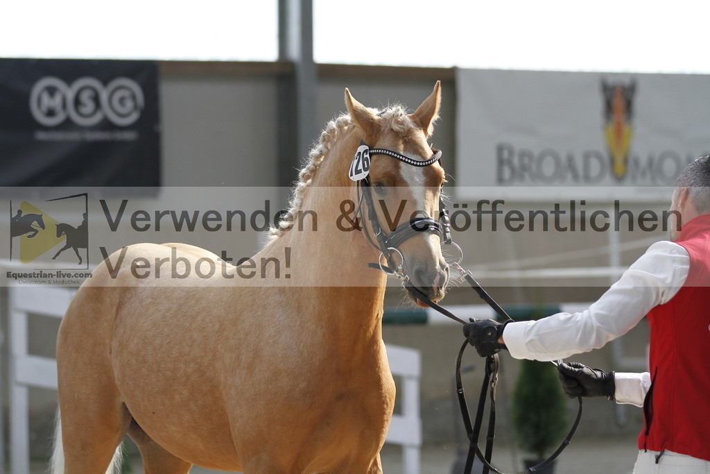 _MG_9721 | equestrian-live-com