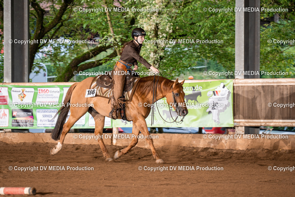 Erbach Tag 4-906 | dv-media-shop - Realisiert mit Pictrs.com