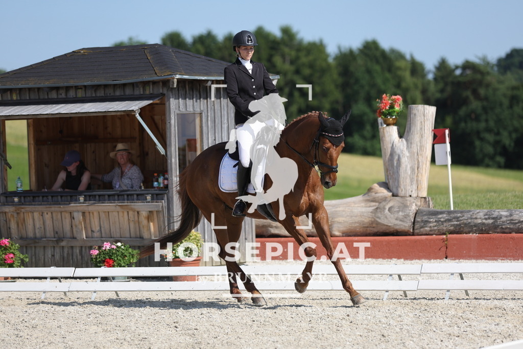0P6A8125 | Willkommen bei Brunnmayr - Design & Fotografie – Ihrem Spezialisten für Reitturniere und Pferdeveranstaltungen in Oberösterreich, Salzburg und Bayern! Seit über 17 Jahren sind wir leidenschaftlich dabei.