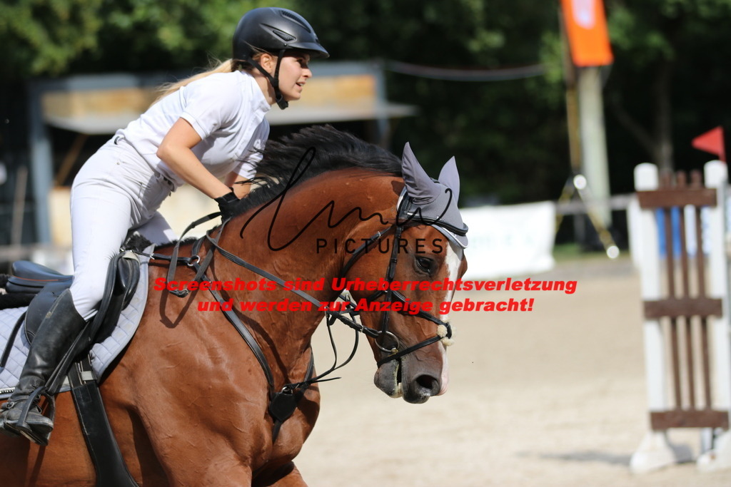 IMG_0770 | lmwpictures - Realisiert mit Pictrs.com