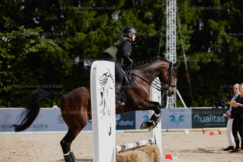 Leonie24_FHC2025-68 | working equitationturnier fotograf videograf stoibphotography marixx film working equitation deutschland reitsport turnierfotografie eventfotografie equestrian events