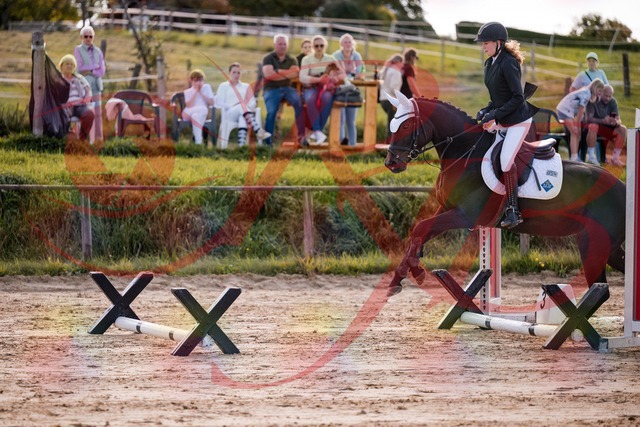 2026_10_03_Siefer-Hof_145918_Z81_41196196 | Professionelle Reitsport-, Turnier- und Eventfotografie von Robert Broda. Galerien mit ausgewählten und bearbeiteten Bildern direkt online ansehen und bestellen.