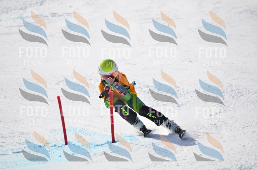 C8653 | holidayphoto