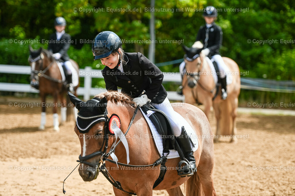 20230716_10-3_Reiter-WB Schritt - Trab - Galopp_0213 | equistock