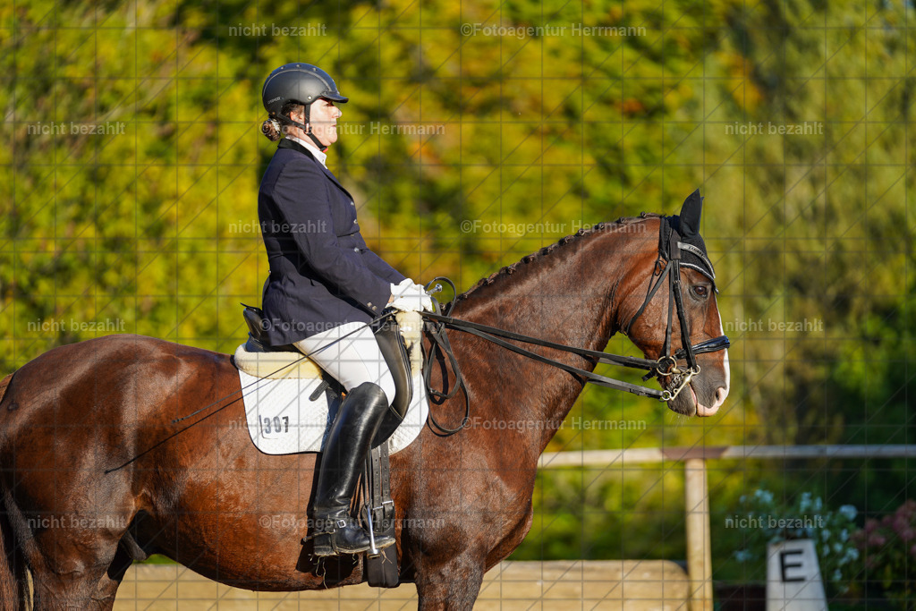 20221007-FAH00350 | Diessen am Ammersee, 2022, Dressur- und Springturnier, Reitsportbilder, Turnierfotografen Bayern, Pferdefotografen, Fotoagentur Herrmann, Turnierbilder