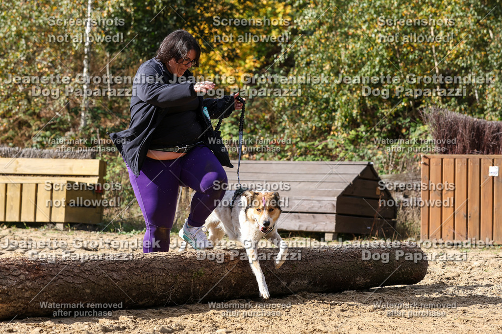 Dog Paparazzi - Strongdog 10-25-5135 | Dog Paparazzi Jeanette Grottendiek Fotografie & Videografie