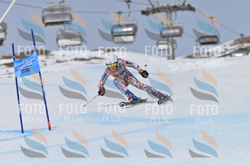 BGV_4974 | holidayphoto