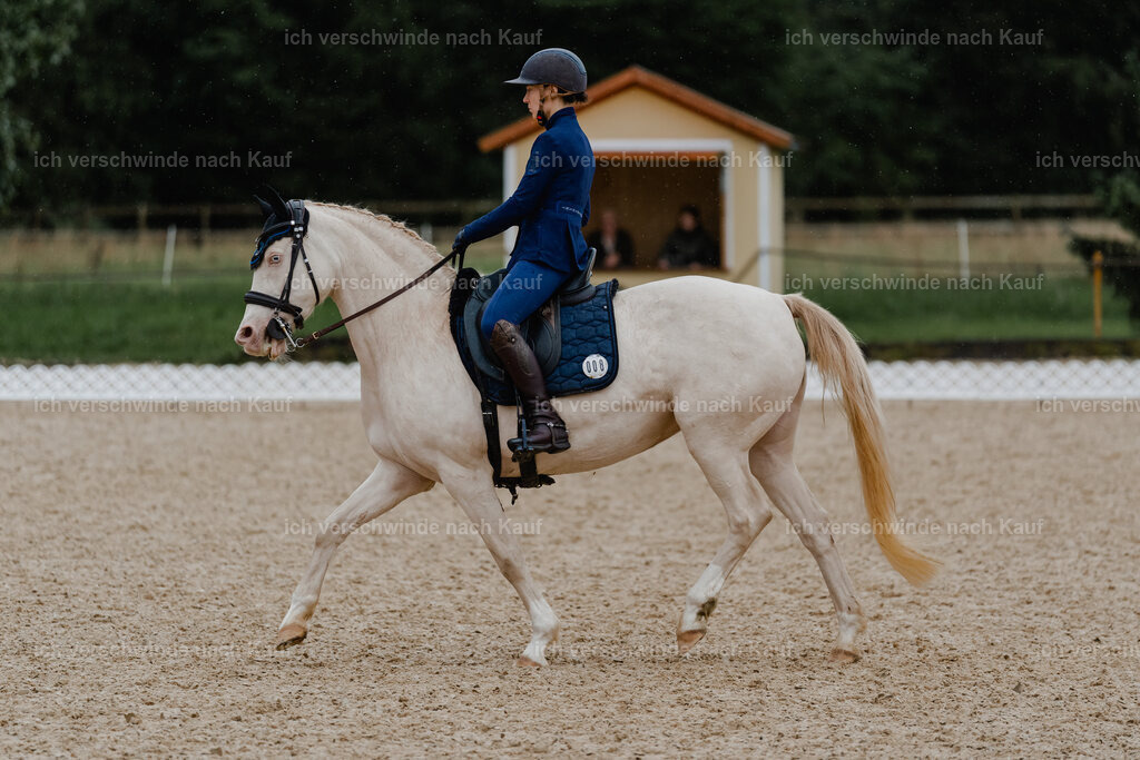 Nici11_FHC2025-8788 | working equitationturnier fotograf videograf stoibphotography marixx film working equitation deutschland reitsport turnierfotografie eventfotografie equestrian events