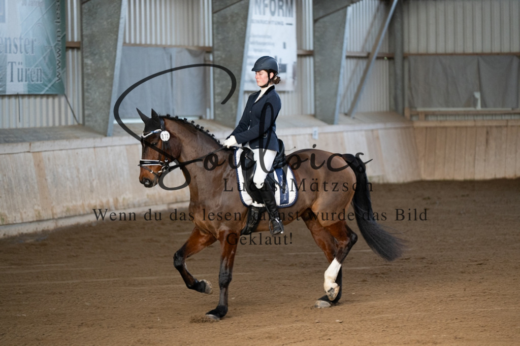 A7V05643 | Pferdefotograf