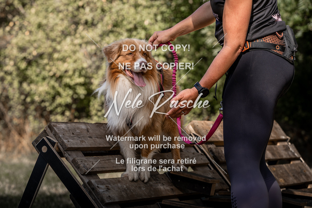 nelerasche_slaw24So_264 | nelerasche