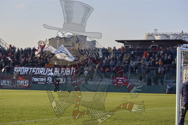 BFC Dynamo vs. FC Energie Cottbus  153 | mythos-online-redaktion