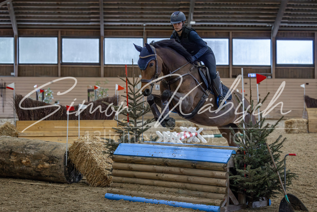 20260222-_3LI2295 | Tierfotografie Pferde, Hunde, Katzen, Haustiere.
Turnierfotografie Reitturniere, Reiten, Springreiten, Dressur in Hanau, dem Main-Kinzig-Kreis und dem Rhein-Main- Gebiet um Frankfurt